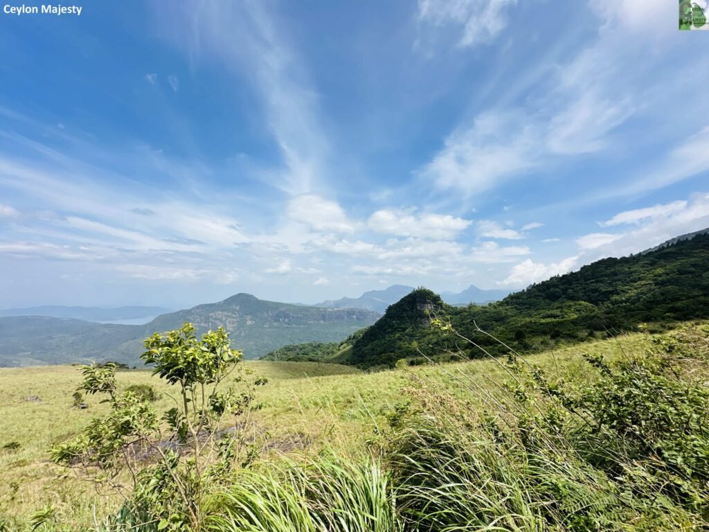 Both Manigala and Lakegala mountains in knuckles forest reserve are in the image.