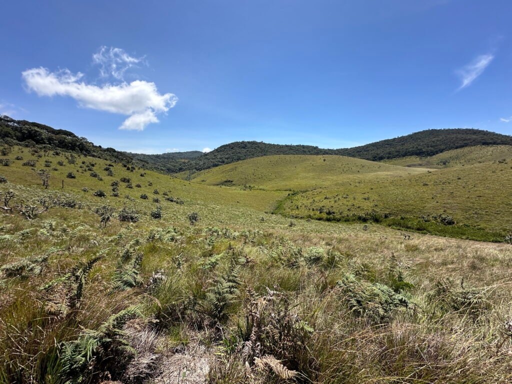 horton plains mahaweli river origin