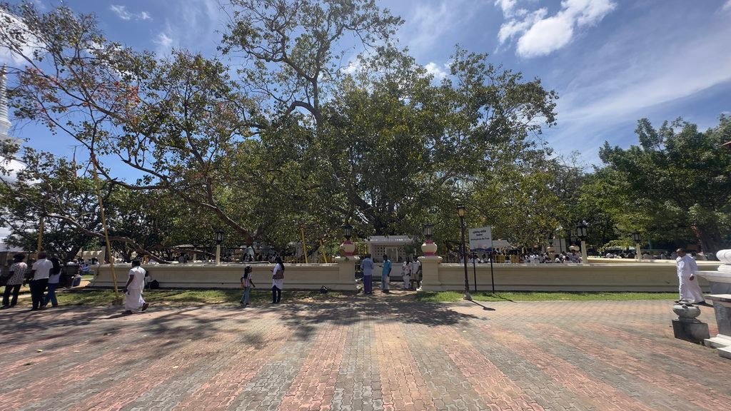 Mahiyanganaya Stupa was built 2600 years ago by Prince Saman during the Lord Budda's visit to Sri lanka